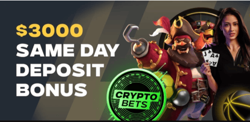 Principaux moyens de paiement Vodds Casino